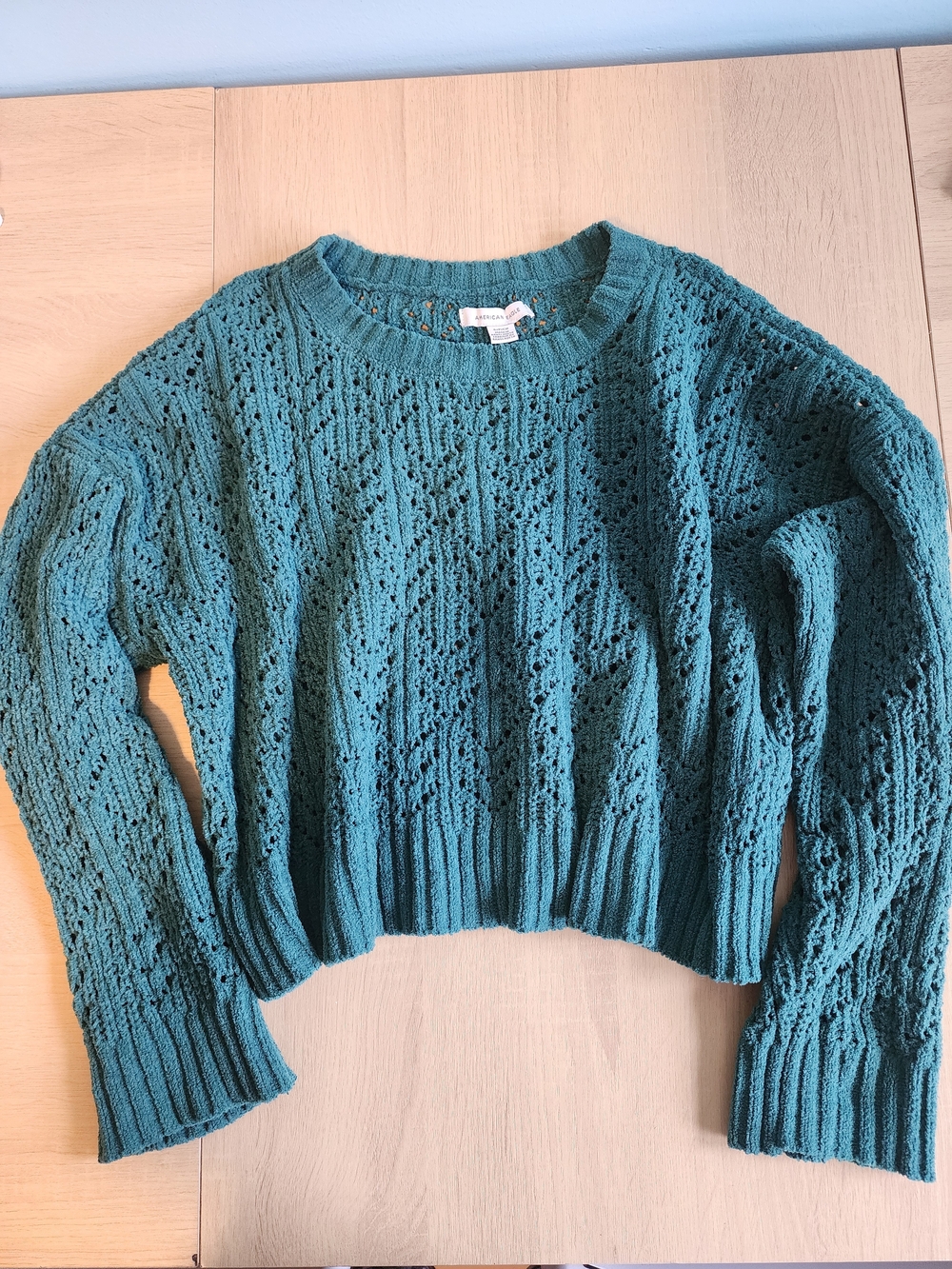 American Eagle Outfitters Teal Open-Knit Cropped Crewneck Sweater